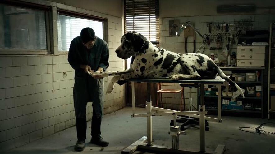 dogman